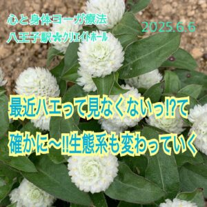 ｸﾘｴｲﾄﾎｰﾙ︎✿自律神経を整えて夏に備えよう
