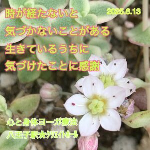ｸﾘｲｴﾄﾎｰﾙ︎✿年に2度のチャリティー週間︎✿
