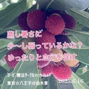 カルパ☆世界を見てみたい✧✧