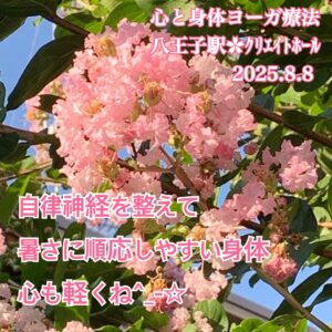 ｸﾘｴｲﾄﾎｰﾙ︎✿気力が体調をコントロールすることもある