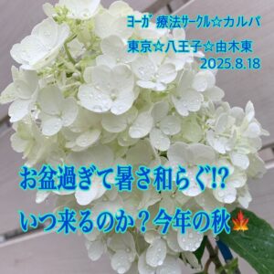 カルパ☆上手にクーラー使って質の良い睡眠を‪☆