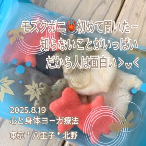 北野🦀軍港行ってみたいなぁ〜✧*｡