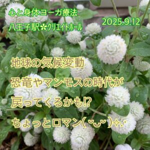 ｸﾘｴｲﾄﾎｰﾙ︎✿雨降るごとに涼しくなる!?