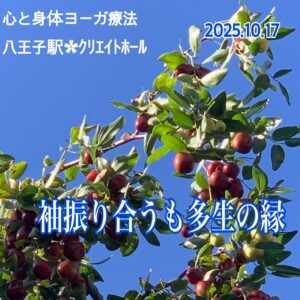 クリエイトホール︎✿胸を開いてスッキリ✧︎