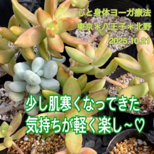 北野*日本のマタギさん!頑張れ〜