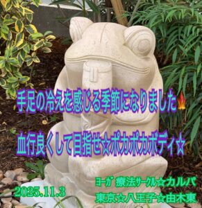 カルパ☆血行良くして目指せ☆ポカポカボディ☆