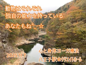 ｸﾘｴｲﾄﾎｰﾙ‪✿自分の得意ってなんだろ〜( ｰ̀ωｰ́ ).｡o