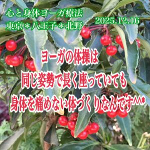 北野＊柚子は種まで使えるらしい(☆o☆)