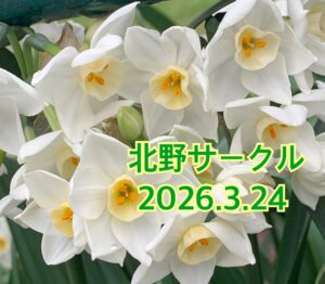 北野♡怒っても笑っても同じ結果なら笑っていた方がいいんじゃない