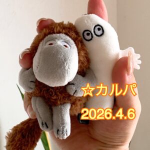 ☆カルパ☆桜を愛でる文化 大切にしたいですね