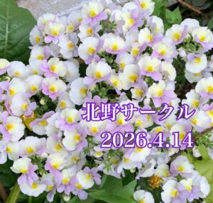 北野♡子供の未来をみんなで守れる社会