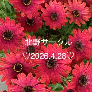 北野♡休眠期があれば生育期がある…当たり前のこと