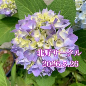 北野♡愛と学びに満ちている世界♡