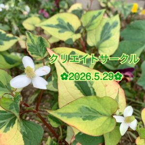 クリエイト✿科学に負けない智慧を！