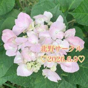 北野♡先輩方の言葉は宝の山