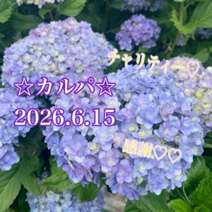 ☆カルパ☆小さな個々が集まれば大きな魚になれる°・<><