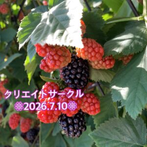 クリエイト❁⃘気持ちを素直に伝えあえるって理想⸜ෆෆ⸝‍