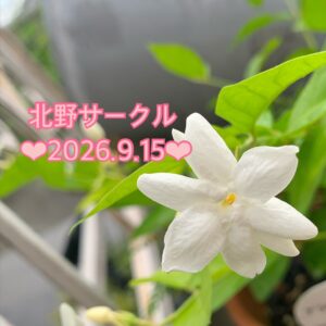 北野❤︎平穏な日々は貴重