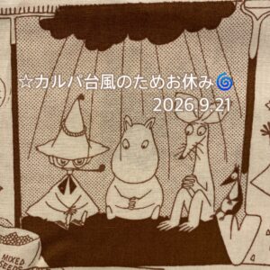 カルパ☆台風休み🌀お家ヨーガ療法(*/>ω