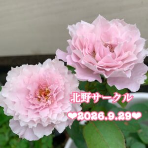 北野❤︎いつも朗らかな皆さんのお顔が更に優しかったぁ❤︎